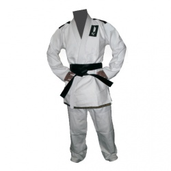 Brazilian Ju Jutsu