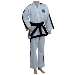 Taekwondo