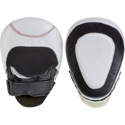 Focus & Punching Pads