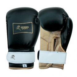 KIds Boxing
