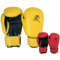 KIds Boxing