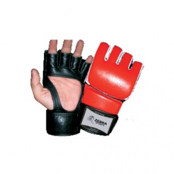 MMA Glove