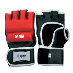 MMA Glove