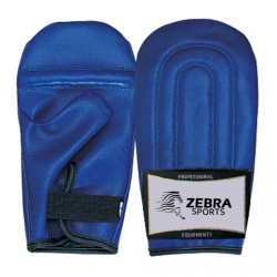 Punching Bag Mitts